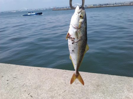 梅雨明け秒読み